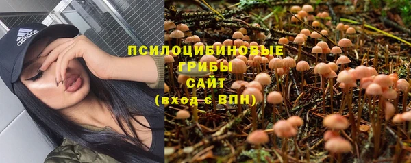 jwh Новозыбков