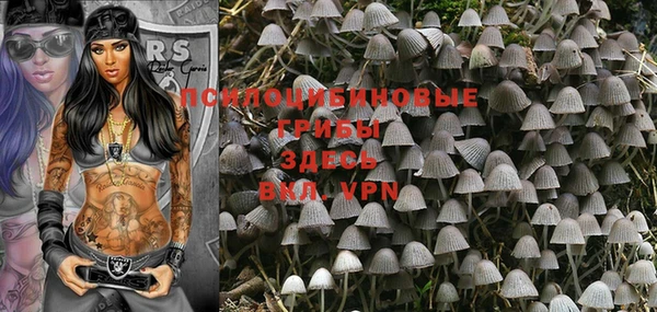 дживик Новодвинск