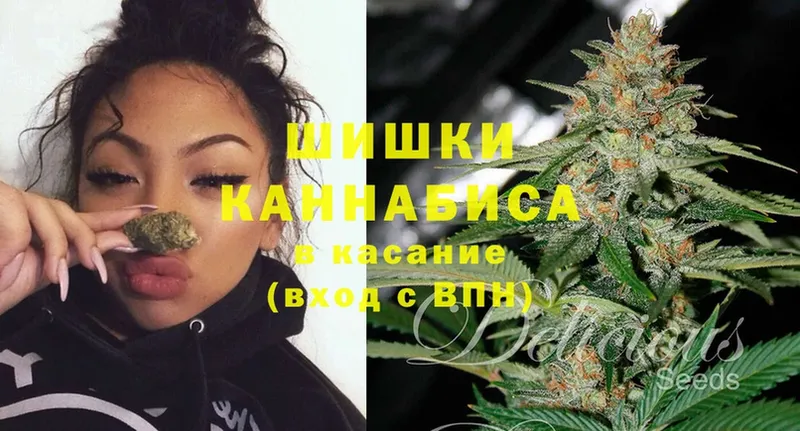 Конопля Ganja  Тарко-Сале 